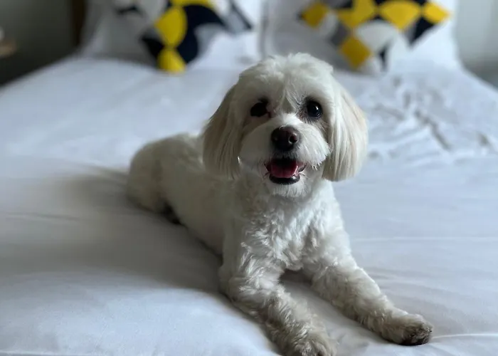 Ξενοδοχείο Ibis Politehnica