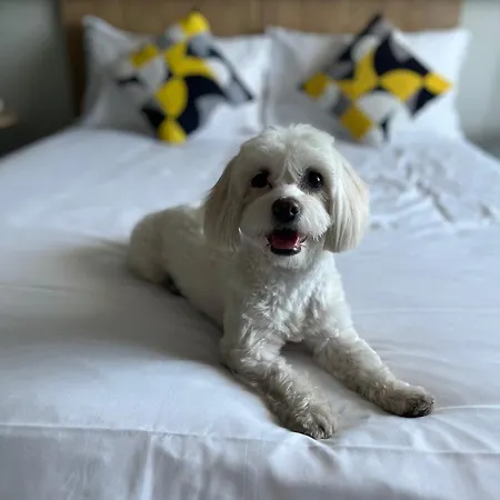 호텔 Ibis Politehnica