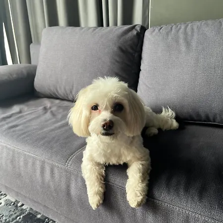 Ibis Politehnica 3* Bucareste